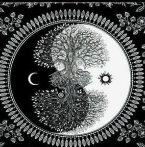 Meet your Posher, Sonia